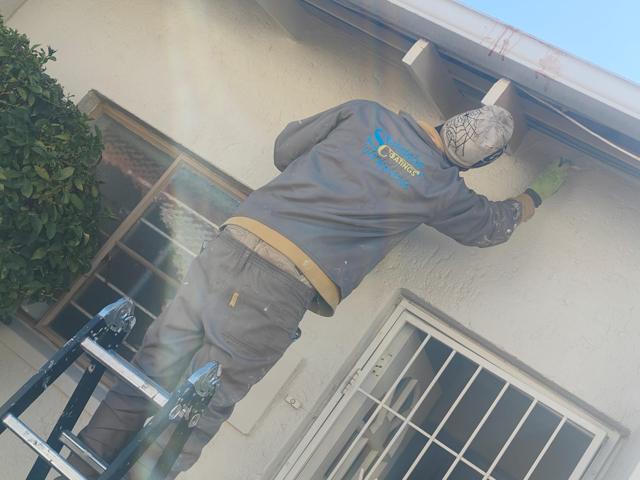 Painter on a ladder preparing eaves